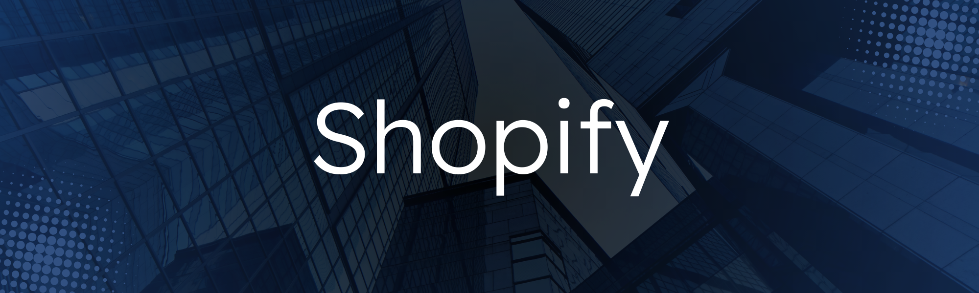 Overzicht van een professionele Shopify webshop